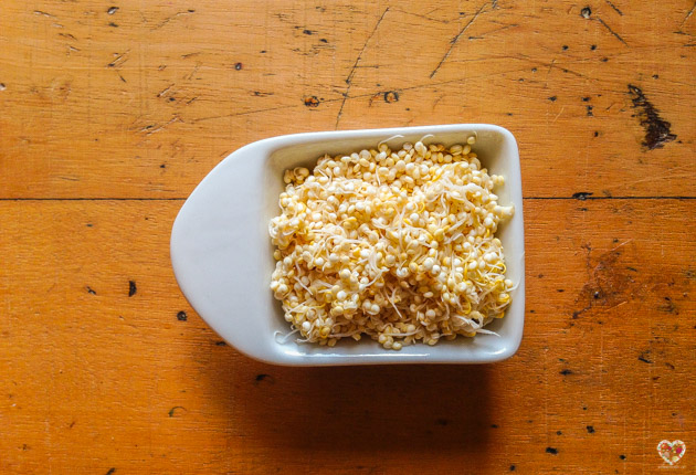 como preparar rejuvelac en casa con germinados de quinoa